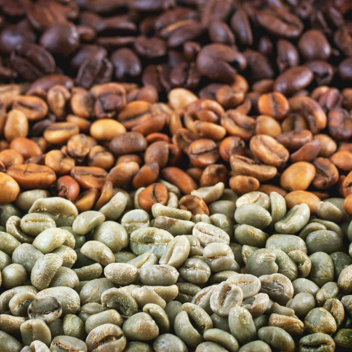 Arabica Coffee - Sidamo, Yirgacheffe, Harar